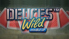 Deuces Wild Double Up (Дикие двойки с удвоением)