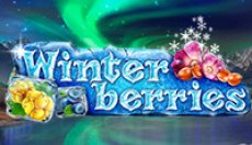 Winterberries (Зимние Ягоды)