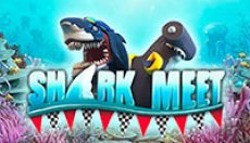 Shark Meet (Встреча акул)