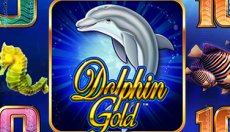 Dolphin Gold